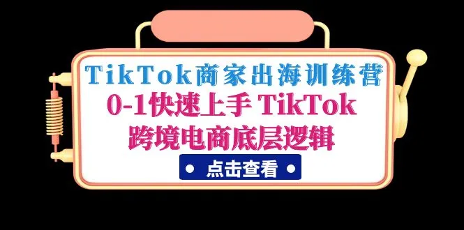 TikTok商家出海训练营：0-1快速上手 TikTok跨境电商底层逻辑-网课资源站