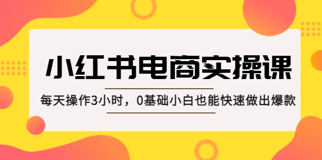 小红书·电商实操课：每天操作3小时，0基础小白也能快速做出爆款！-网课资源站