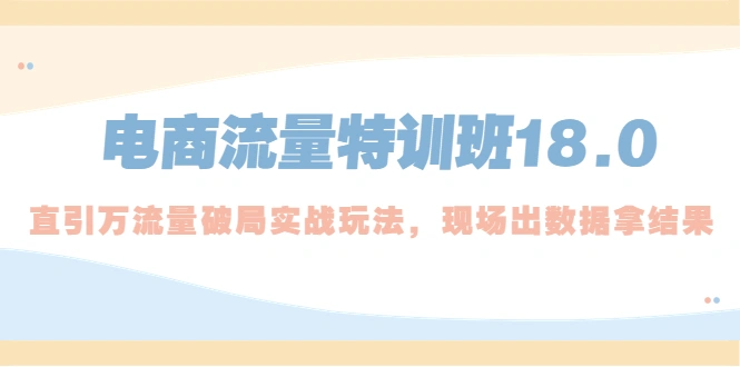 电商流量特训班18.0，直引万流量破局实操玩法，现场出数据拿结果-网课资源站