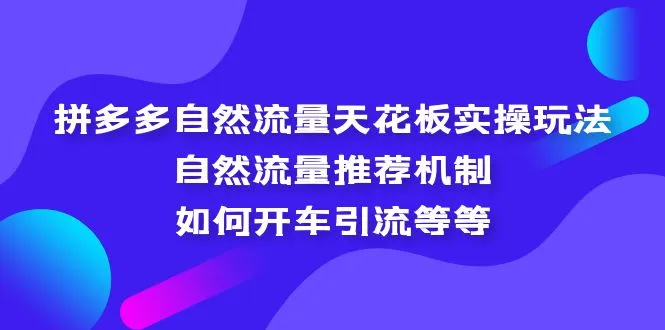 拼多多自然流量天花板实操玩法：自然流量推荐机制，如何开车引流等等-网课资源站