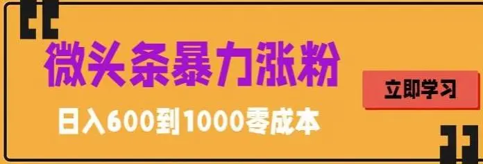 微头条暴力涨粉技巧搬运文案就能涨几万粉丝，简单0成本，日赚600-网课资源站