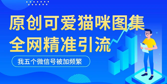 黑科技纯原创可爱猫咪图片，全网精准引流，实操5个VX号被加频繁-网课资源站