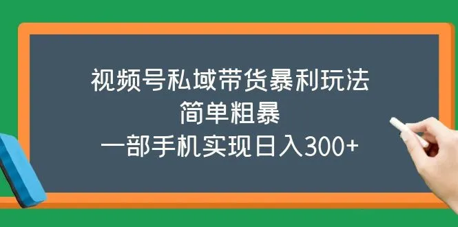 视频号私域带货暴利玩法，简单粗暴，一部手机实现日入300+-网课资源站